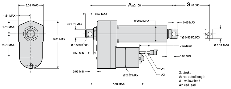 dimensions